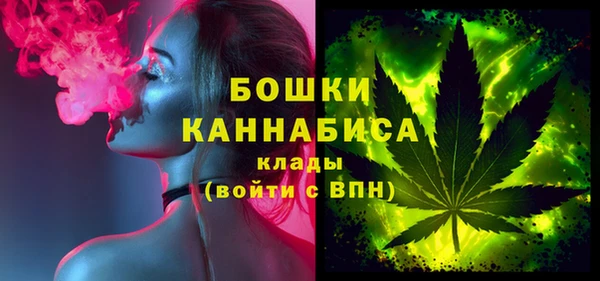 амф Новозыбков