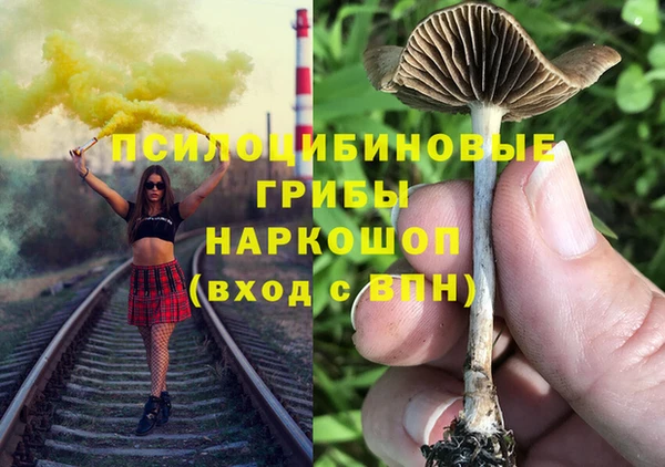 каннабис Аркадак