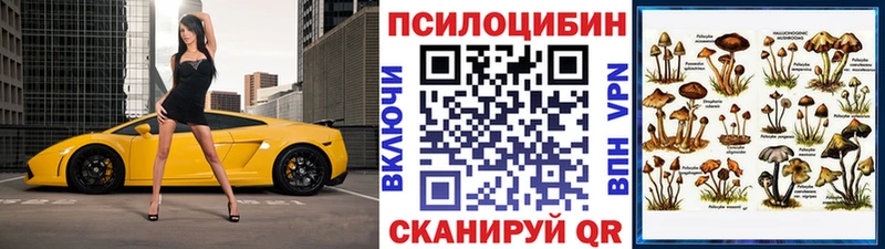 дарнет шоп Ухта Псилоцибиновые грибы Psilocybine cubensis